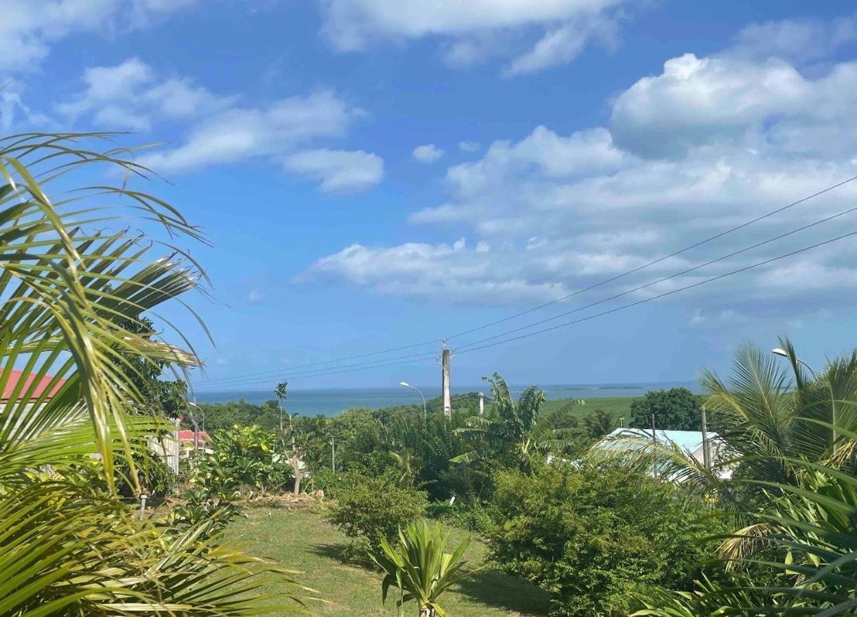 Bel Appartement T2 Avec Vue Sur Palmier Et Mer 세인트 로즈 외부 사진